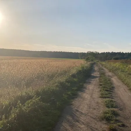 カントリーハウス Vioska Art