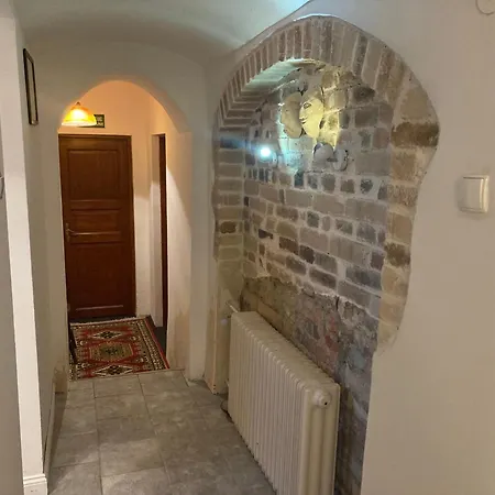 Vioska Art カントリーハウス Dobrzyn (Zary)