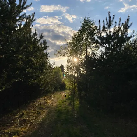 カントリーハウス Vioska Art