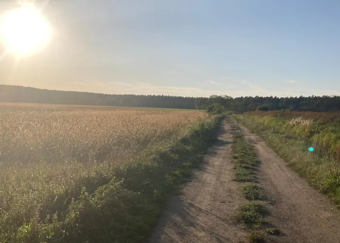 Lantställe Vioska Art