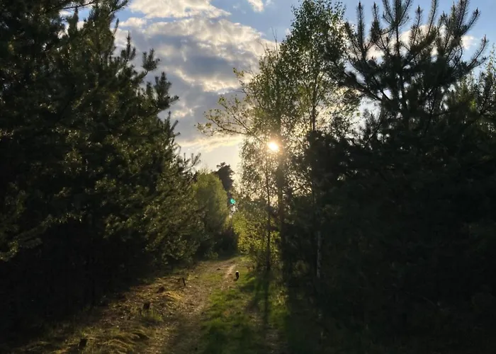 Lantställe Vioska Art